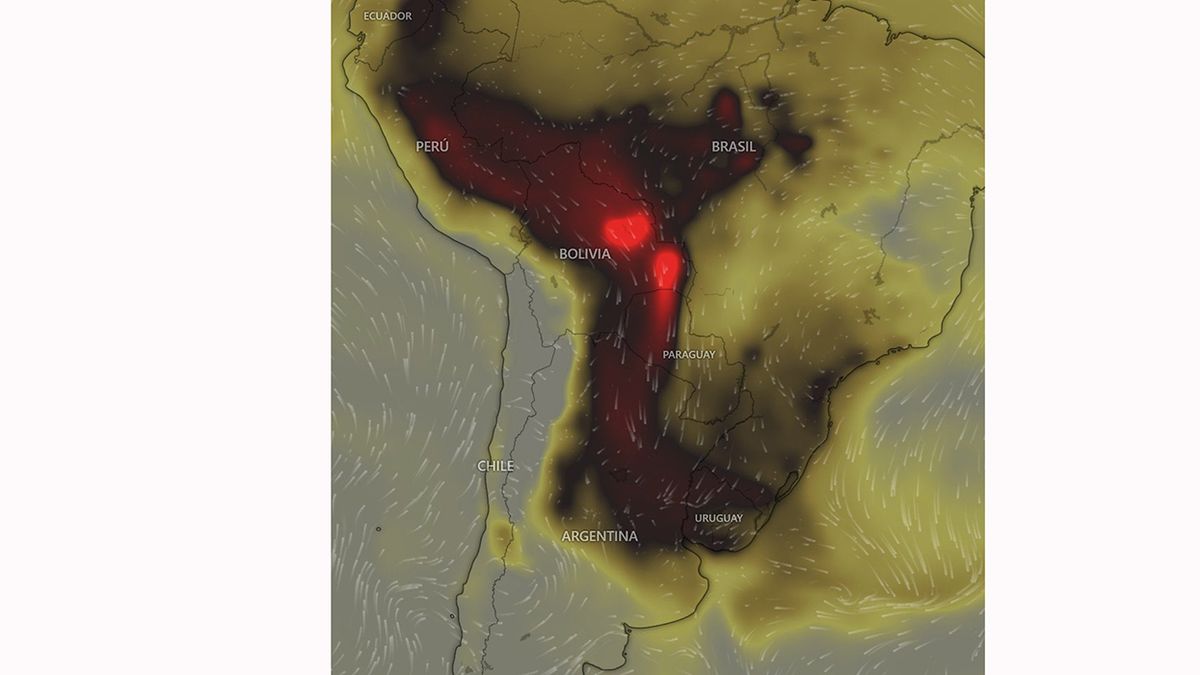 El avance del humo a los países límitrofes y a la Argentina como resultado de los incendios forestales en Bolivia. 