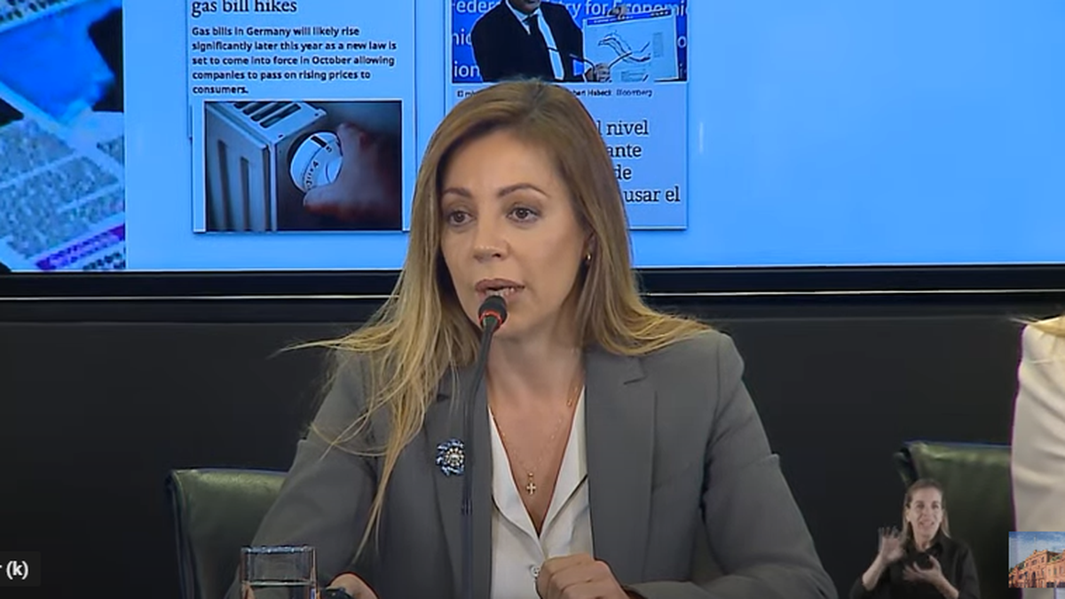 Segmentación de tarifas: el Gobierno da precisiones del nuevo esquema de subsidio de luz y gas (Foto: captura de YouTube Casa Rosada).