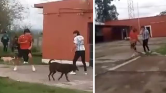 Horror en la escuela: se estaban peleando, sacó un arma blanca y todo terminó de la peor manera