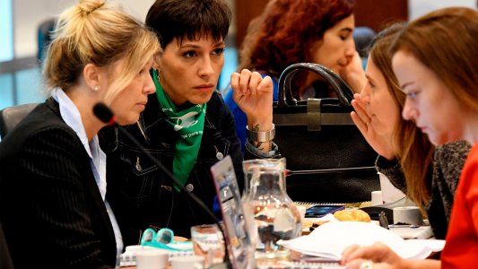 Aborto: la pelea es voto a voto, en la última semana de expositores a favor y en contra de la legalización