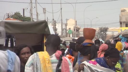 La seria advertencia de la OMS por la concentración de vacunas en una decena de países