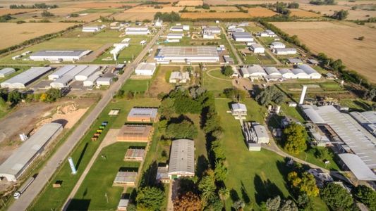 Estrategia para lograr PYMES sustentables con prisa y sin pausa