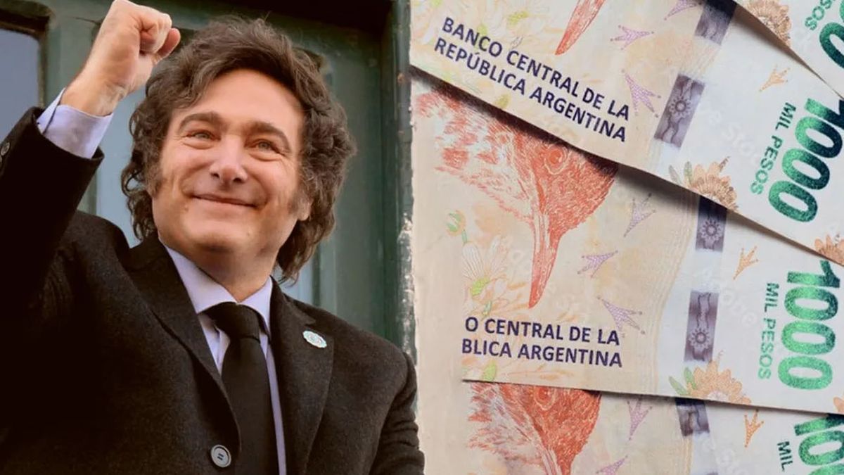 BONO confirmado: ANSES y Milei aseguraron el pago de $77 mil para octubre (Foto: archivo)
