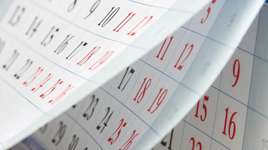 Cuándo es el FERIADO LARGO de junio 2024