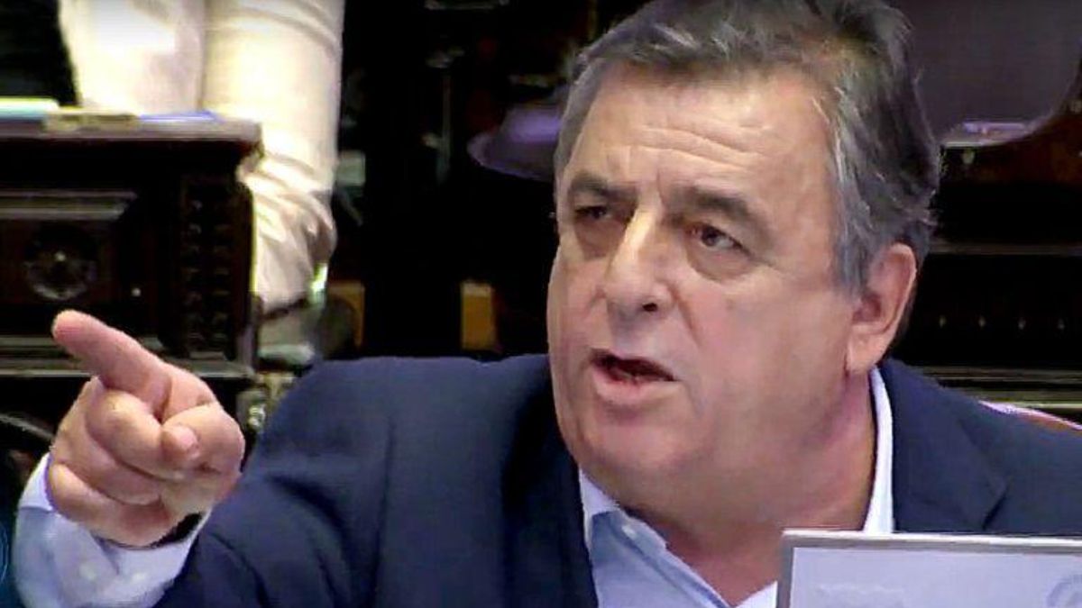 El presidente del bloque radical, Mario Negri, expresó: 