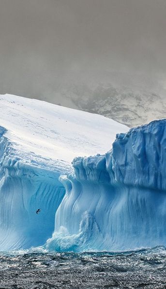Los aforismos de José Narosky: Cuando luchamos por un ideal siempre ganamos. Aunque perdamos