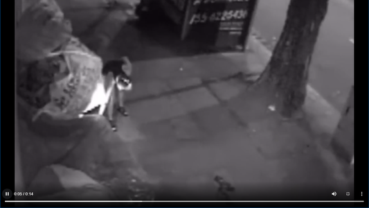 Coronavirus: confirmaron 81.210 casos, la cifra más alta de contagios diarios desde el inicio de la pandemia