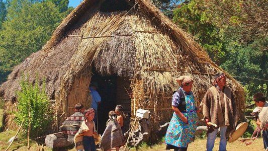 ¿Dónde viven los mapuches?