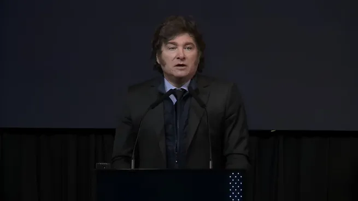 Javier Milei habló en Rosario. (Foto: captura)