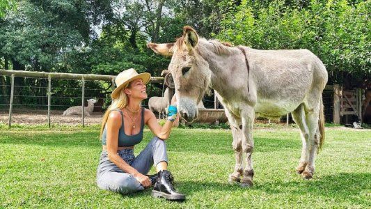Las vacaciones campestres de Nicole Neumann: Los burros me producen una ternura especial