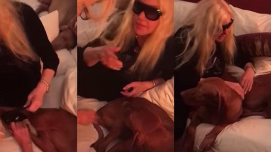 Susana Giménez le puso ropa interior a su perra en medio de una discusión con su hija: “Rita se casa”