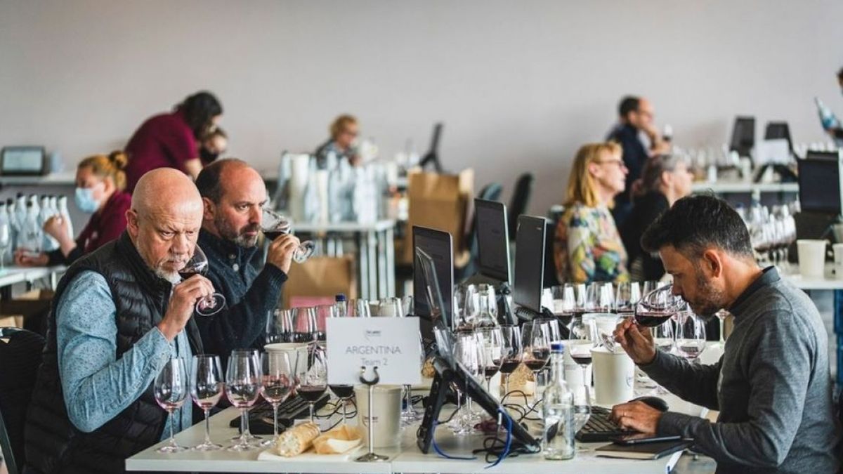 Las 13 medallas de platino para los vinos argentinos ejemplifican la máxima calidad en todos los ámbitos