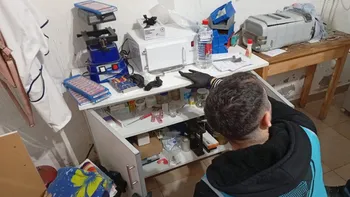 Odontóloga falsa ofrecía prótesis e implantes a través de las redes: cómo fue descubierta