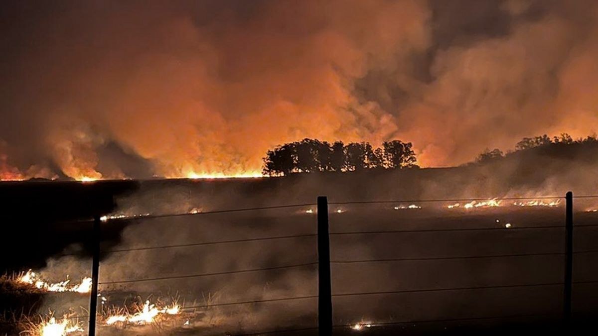 Por los incendios en Corrientes