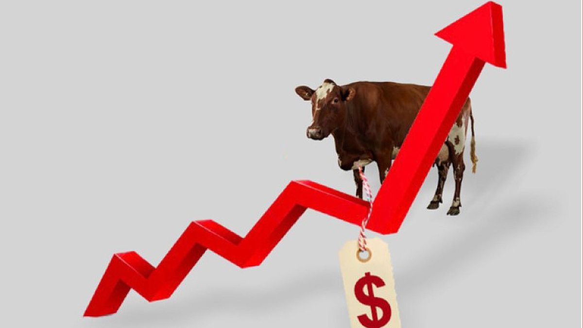 El precio de la carne que comen los argentinos