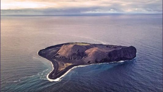 Los aforismos de José Narosky: Todo parece milagro en la naturaleza... pero nada es milagro