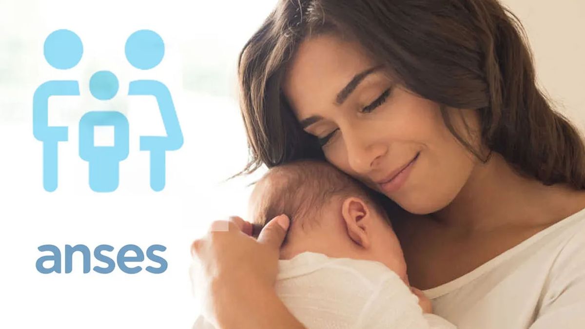 ANSES anunció un BONO de $50.000 para madres: cómo cobrarlo (Foto: archivo)