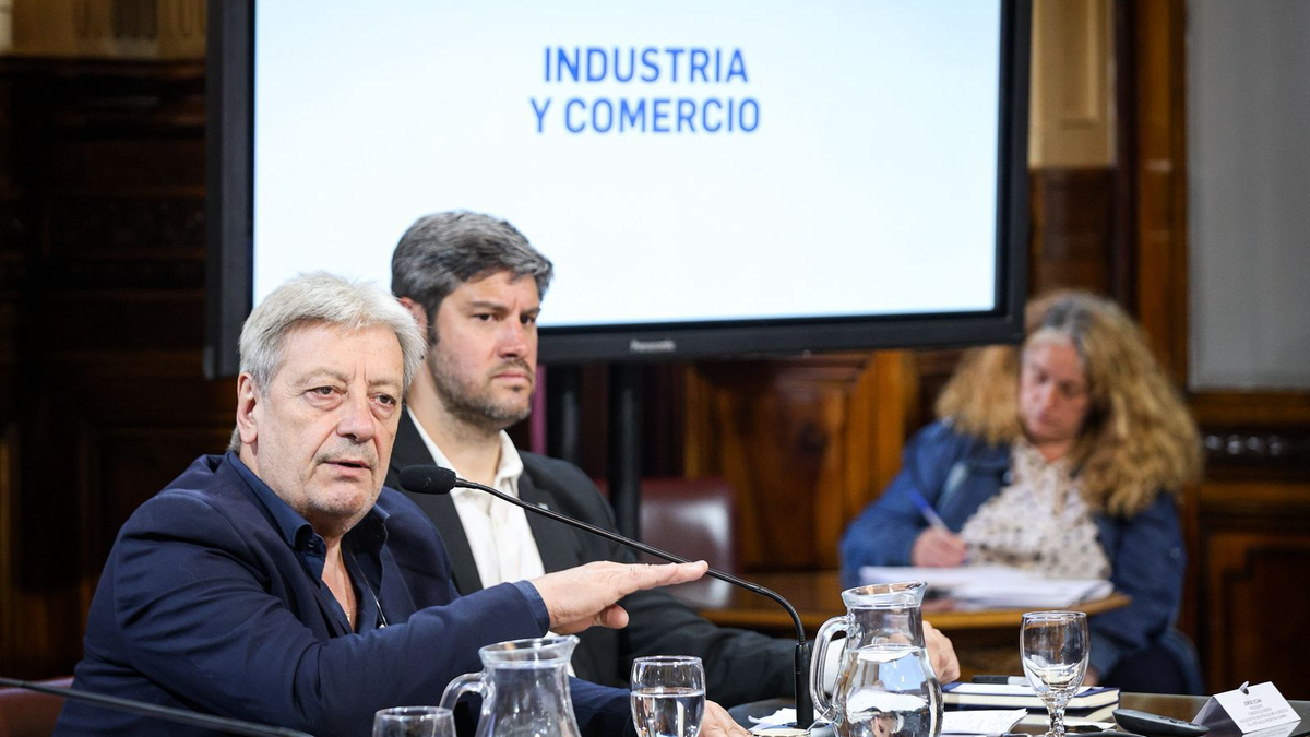 Abel Furlán pidió en el Senado discutir un modelo que priorice el trabajo argentino: Los trabajadores no somos el problema.