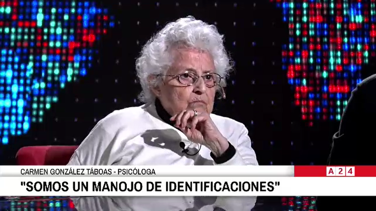 Carmen González Táboas participó del programa Entrevista de Luis Novaresio. (Foto: captura).