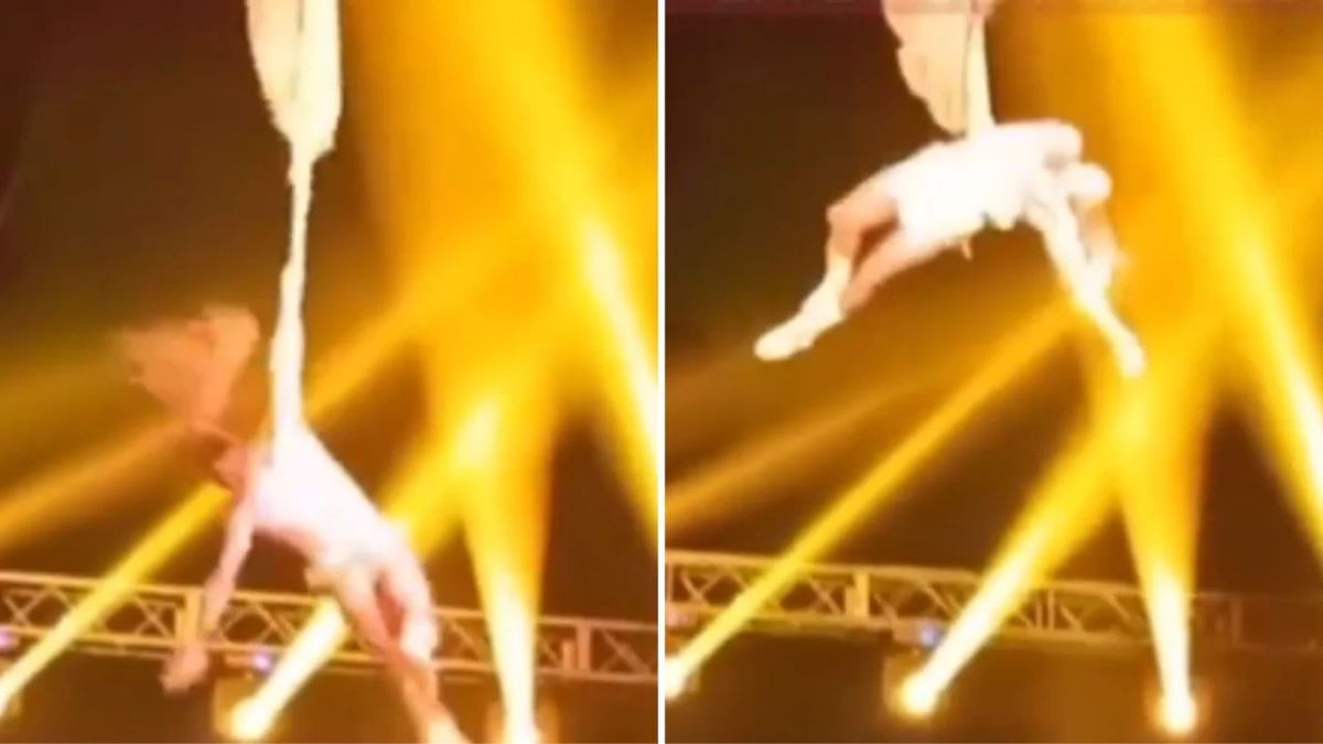 Impactante caída en un circo: un acróbata se desplomó desde cinco metros.&nbsp;