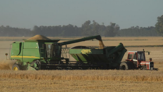 Petróleo vs. Campo: qué aporta cada sector en trabajo, divisas y PBI, y cuál es el tratamiento impositivo que reciben