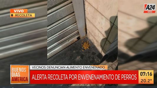 Recoleta: alerta por un envenenador serial de perros