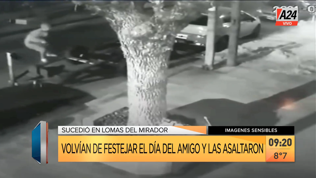 Inseguridad: así dos jóvenes las asaltaron en Lomas del Mirador. (Captura de Tv)