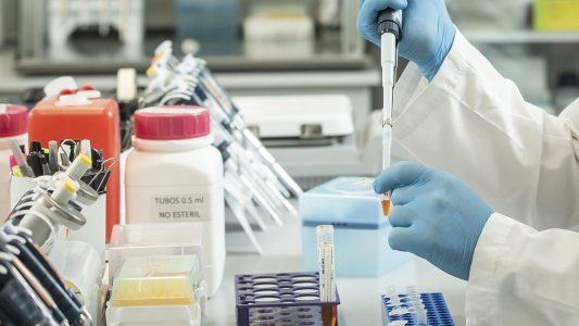 Suero equino hiperinmune: terapistas relativizan su eficacia, aunque el laboratorio insiste en que reduce hasta 45% la mortalidad