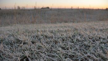 Continuarán los vientos polares y heladas sobre la mayor parte del área agrícola nacional