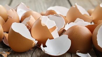 No tires las cáscaras de huevo en casa, tenés un tesoro en tus manos: cómo podés reutilizarlas