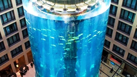 Estalló el mayor acuario cilíndrico del mundo: hubo heridos y 1.500 peces terminaron en la alcantarilla