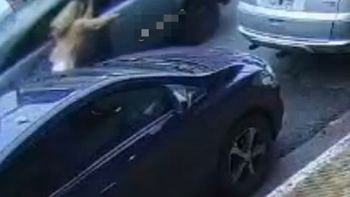 Brutal robo en La Matanza. Foto: captura de video. Brutal robo en La Matanza. Foto: captura de video.