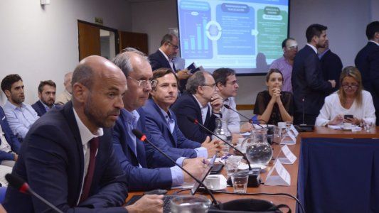 Dietrich fue a Diputados a defender el proyecto que reemplazará al Mega DNU