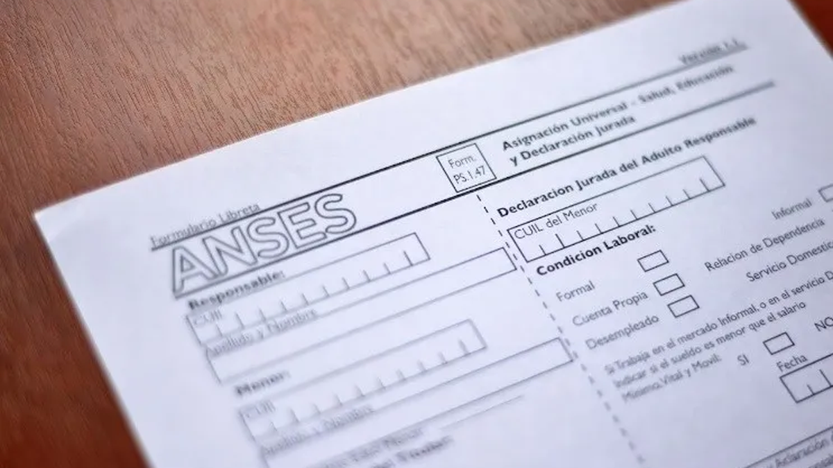 Libreta AUH formulario de Anses. (Foto: BAE)