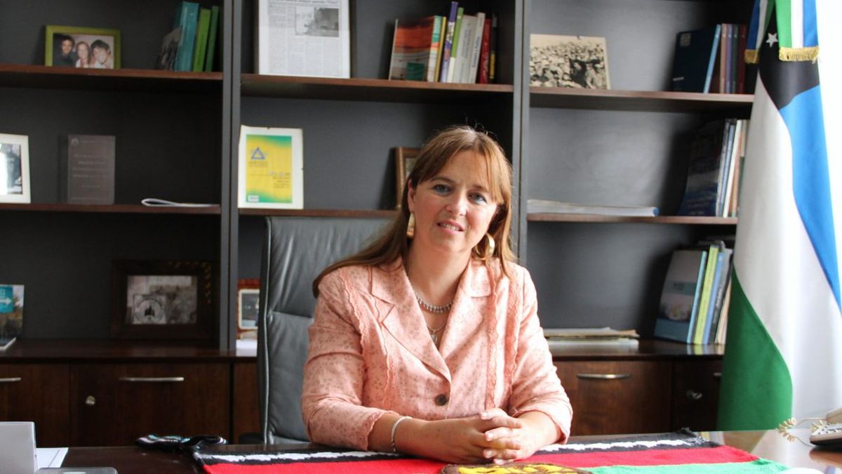 Magdalena Odarda renunció a la presidencia del INAI (Foto: Twitter)