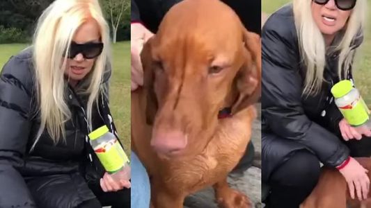 Susana Giménez sigue renegando con su perra Rita: Polotu... ¡Loca de miércoles!