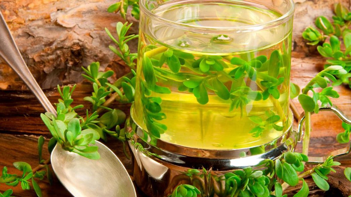 La bacopa, tambi&eacute;n conocida como "verdolaga de puerco" en Argentina,&nbsp;es una hierba medicinal que estimula la memoria y protege las neuronas.