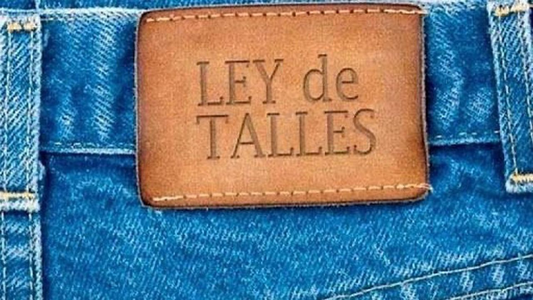 Siete de cada diez argentinos no encuentra ropa de su talle: ¿qué pasó con la ley sancionada y cómo avanzan sus controles?