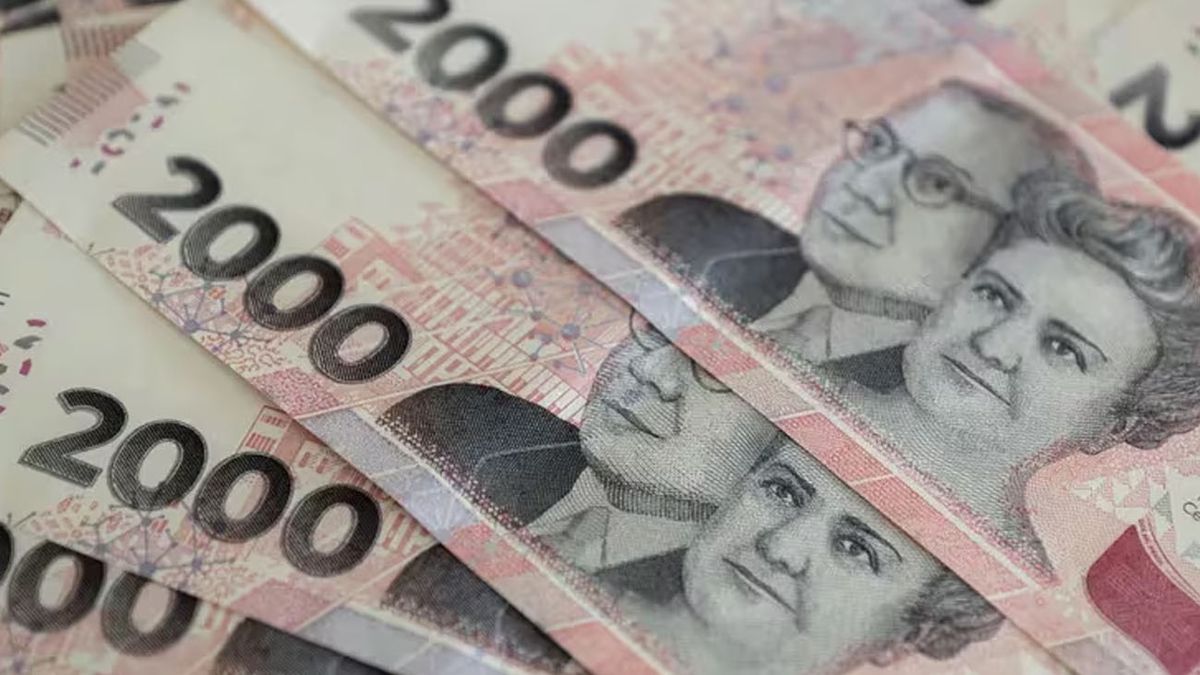 NUEVA TASA de interés para el PLAZO FIJO: cómo generar ingresos de 55 mil pesos por mes (Foto: archivo)