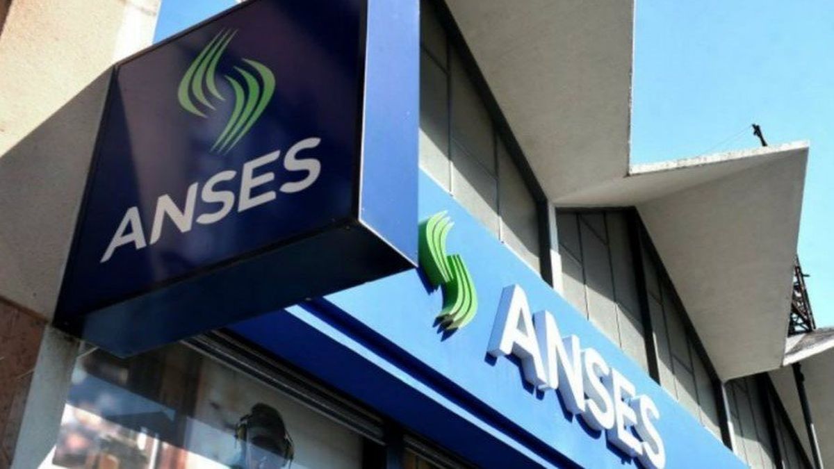 SUAF ANSES: Qué Pasa Con El Complemento Doble Con Aumento Confirmado En ...