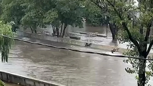 Hallaron el cuerpo de Bryan, el chico que se lanzó a un arroyo en el temporal: así fueron sus últimos instantes de vida