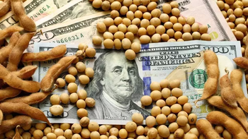 Economía: cuál será el impacto de las medidas del gobierno para la agroindustria