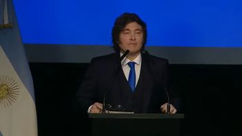 Milei celebró el fallo a favor de YPF con exabruptos contra Kicillof y Cristina: Inútil y presidiaria