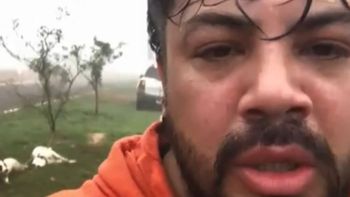 Impresionante video: la habilidad especial que logró salvarlo del ataque mortal de dos pitbulls