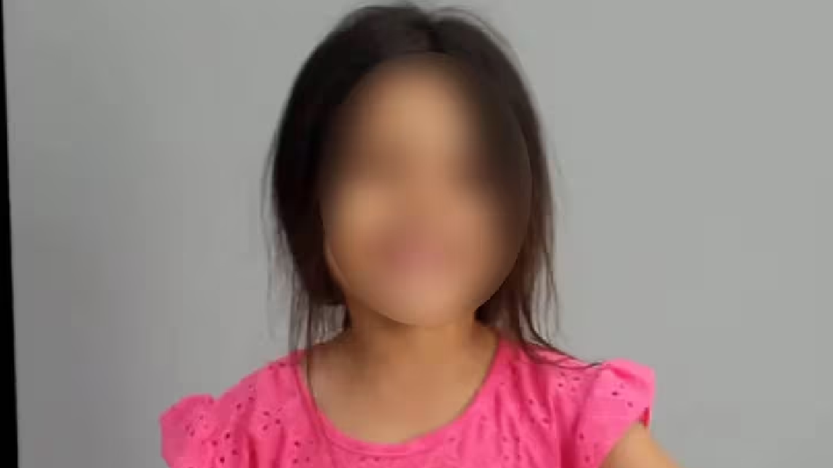 Encontraron una nena de 4 años deambulando sola en la estación de trenes de Villa Elisa. (Foto: Policía Bonaerense)