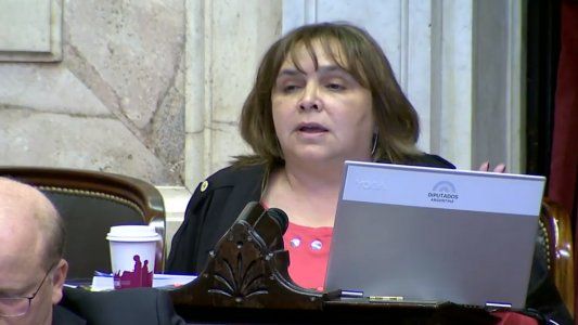 La diputada K que llamó gato a Macri y Jerry a Peña habló de una humorada y advirtió que las investiduras no son sacrosantas