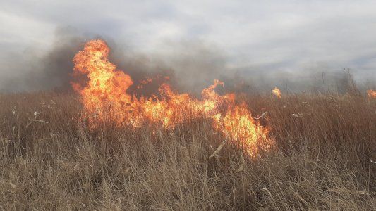 Sequía: cómo se preparan las provincias para tramitar la Emergencia Agropecuaria