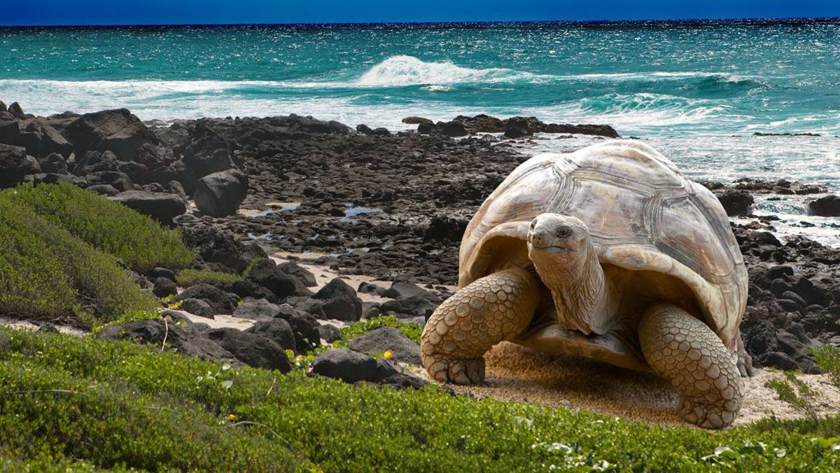 Ecuador, pionero en cambiar la deuda externa por cuidado ambiental (Foto: gentileza BudgetYourTrip).