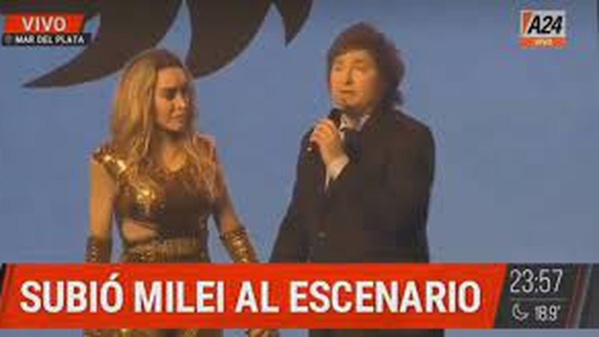 Javier Milei: Que no se interponga la casta delincuente que busca coimas. (Captura)