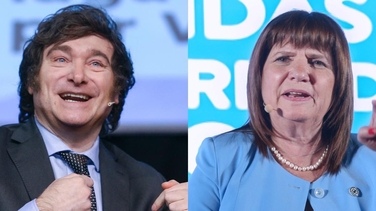 Confirmado: Ptricia Bullrich será ministra de Seguridad del gobierno de Javier Milei: (Foto: archivo).